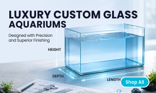 2 - Aquarium Tank