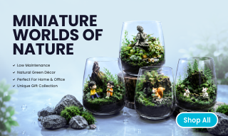 3 - Terrarium