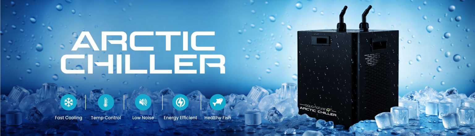 3-1536x439